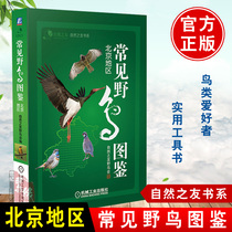 (Bird Watching Manual)Common Wild Birds Guide Beijing Friends of Nature Wild Birds Association Beijing Common Wild Birds Guide Bird Watching Books Field Bird Watching Manual Beijing Common Wild Birds Guide Bird Books Guide