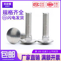 304 stainless steel flat head square neck bolt carriage screw M8M10M12*55x60x65x70x80 90-100