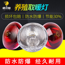  Breeding heating bulb for pigs thickened animal husbandry breeding waterproof chicken piglets heating baking lamp Explosion-proof insulation bulb
