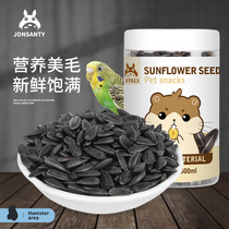 Favorite day oil sunflower seeds Black Pearl melon seeds tiger skin peony Xuan Phoenix parrot snacks feed bird food bird food