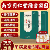 Nanjing Tongrentang three volts paste wormwood acupoint paste blank winter disease summer treatment moxibustion dampness official