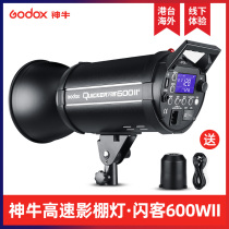 Shenniu Flash Guest 600 2nd Generation 600W Flash High Speed Synchronous Studio Lights Photography Flexible Lights Studio