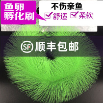 Fish pond ornamental fish hatching grass hatching brush koi spawning grass carp egg hatching brush aquaculture fish nest