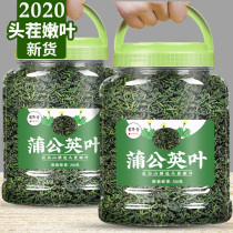  20-year-old new Dandelion tea 500g thin Gongying Tea Pu Gongying root tea natural not special grade