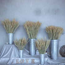 Wheat dry bouquet Taobao picture shooting props store opening gift decoration decoration real flower natural dried flower