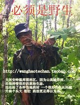 Content of Inner Mongolia wild cohosh 500g week cohosh raw material Northern cohosh