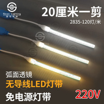 LED light strip 2835 outdoor waterproof 220v high voltage wirelessflexible soft light strip 20cm one cut background light