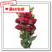  Flower edge pickles Imported flower seeds*Japan sumika*Bellflower * Beauty drunk 5 pills