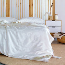 (Fuji Store) The joint section Shennaikawa silk quilted by air conditioning by Spring and Autumn Quilt mother by silk