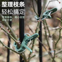  Botanical garden art fixed clip Cucumber tomato tomato device hanging seedlings Pepper hanger rod clip supporting plants