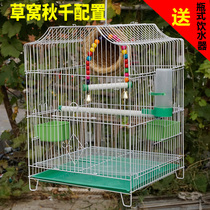 Large acacia bird Turtledove Floor-to-ceiling metal bird cage set decoration Bird supplies cage Large plus high wren