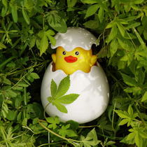 Shower toys rain clouds duck eggs baby water play toys Childrens bathroom sprinkler shaking sound with the same