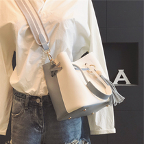 French niche bag 2021 new texture advanced soft leather broadband messenger bucket bag female wild ins student