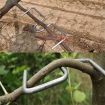 Fruit tree pressing artifact squeezer universal branch gardening agricultural branch puller household garden S-shaped bonsai S buckle