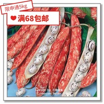 Flower edge Pickles imported vegetable seeds * UK TM * dwarf bean climbing vine kidney bean peas 10
