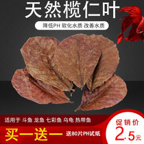 Douyu olive leaf lazy man leaf aquarium acid reduction aquarium ph value small tropical fish dragon turtle shrimp tank