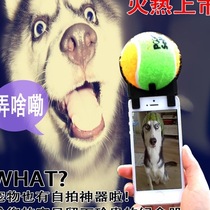 Mail dog selfie artifact tennis selfie dog voice dog toy pet photography supplies