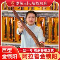 Cynomorium root root root Inner Mongolia Alxa non-wild non-special gold Cynomorium 1 root 1 code details selection