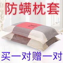 (Pure Cotton Pillowcase Pair) Pillow headgear pair with adult lovers 48 * 74 Grand number single student Dormitory Autumn