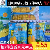 Imperial Feast Sweet Sticky Corn Grade A 16cm About Ten Bags of 20 Jiangsu Zhejiang and Shanghai Two Parts Minus 10 Yuan Deli