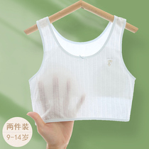 Girls small vest development stage 8 - 9 elementary pupils anti - bump girl underwear 10 - 14 years old