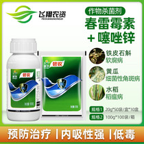 Xinnong Bili 40% Chashuamicin Thiazole Zinc Fruit and Vegetable Bacterial Disease Rice Blast Soft Rot Fungicide 20g