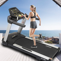 DYACO Daiyu DT787 household multifunctional electric treadmill indoor silent walking machine fitness equipment