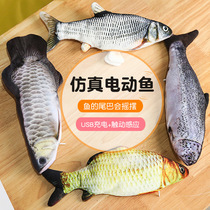 Simulation of electric running and beating swing fish toys childrens swimming crucian carp charging cat doll tremble sound same model