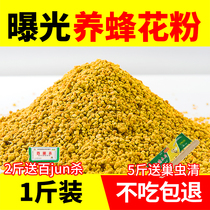 Pollen beekeeping bees fed beekeeping feed in bees special rapeseed flower bee pollen tool 1kg