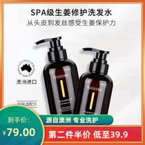 Bald Martians Tiny Love Ficce Code Fiche Ginger Hair Ginger Hair Shampoo Shampoo 300ML Hair Shampoo 300ML