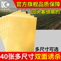 Double-sided armyworm board Yellow board trap blue board paper paste yellow flying insect small black fly stick fruit fly trap sticky board Household