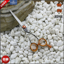 Taiwans EOP 55 comprehensive scissors specialized hair cut 5 inch barber flat cut 6 inch bar