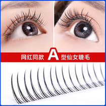 Ciliary Girl A- type fairy false eyelashes womens single cluster of eyelashes grafting natural simulation Net Red single eyelash self-adhesive
