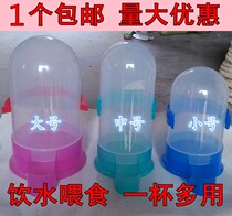 Chicken drinking water pigeon water pot drinking water drinking bird drinking animal chicken pigeon bird with automatic water drinking