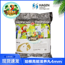 Hagen Harry High Energy Nourishing Pill small parrot feed mini particles originally packed 4mm