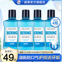 Willus Brothers brand Bering mouthwash 350ml*4 bottles of portable cleaning official genuine