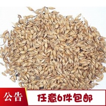 Any 6 pieces of free postal medicine produced malt 50 grams of barley malt