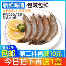 East China Sea prawns Jade shrimp shrimp fresh frozen seafood aquatic shrimp live shrimp white shrimp whole box