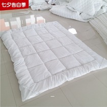 Mattress thickened Double single Hospital Hotel Hotel Hotel Student school protection pad Quilt mattress