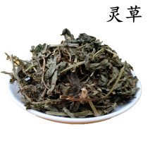 (Over 9 yuan) 50g for Spice Spirit Grass Herb Lingxiang fishing