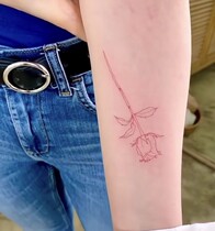 3) red line rose tattoo sticker simple wind ins Pure Girl Flower arm tattoo sticker waterproof