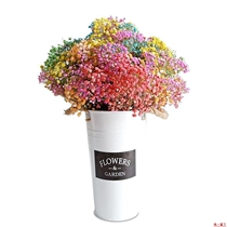 Simulation flower Yunnan starry dried flower bouquet Real flower flowers large bouquet of straight hair Forget-me-not living room ornaments decorative plug