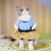 Pets funny Yin Yang funny pets shifting cat clothedogs funny cats and cats and short summer dress