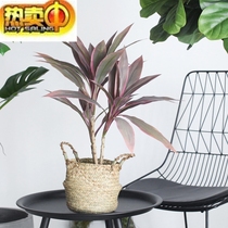 Simulation of green plants color leaves green plantains potted ornaments Home Office shops window decoration landscape simulation