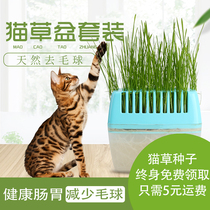  Cat snacks Cat grass set Cat food grass Spit hair ball to hair ball soilless cultivation hydroponic cat grass planting box