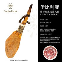 Spanish ham Whole Iberian SC ham Black pig hind leg with bone acorn 48 months black label whole leg