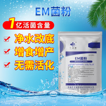 China-Italy and EM Bacteria Powder Aquaculture Water Purification Bacillus probiotics Water lactic acid lactic acid lactic acid bacteria Shrimp Crab