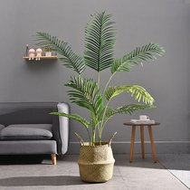 Large-scale Nordic green plant simulation Sanwei Kwai indoor soft decoration living room floor bonsai fake plant homestay wind potted