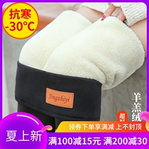 Japanese Autumn Winter Tethickness Lamb Suede Beating Bottom Pants Woman High Waist External Wearing Big Code Integrated Plus Suede Thickened Warm Cotton Pants