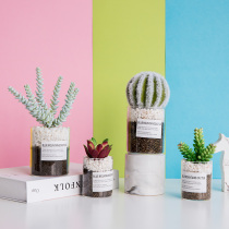 ins fleshy flowerpot hipster plant potted simulation office desktop windowsill green plant decoration flower ornaments